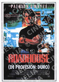 Roadhouse (De Profesión Duro)