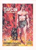 Tarzán y el Safari Perdido